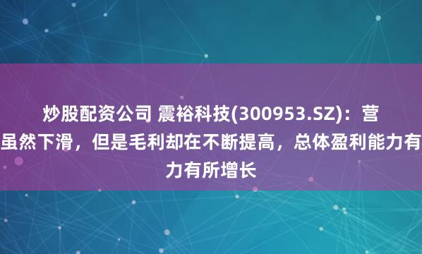 炒股配资公司 震裕科技(300953.SZ)：营业收入虽然下滑，但是毛利却在不断提高，总体盈利能力有所增长