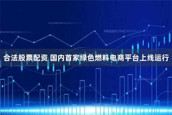 合法股票配资 国内首家绿色燃料电商平台上线运行